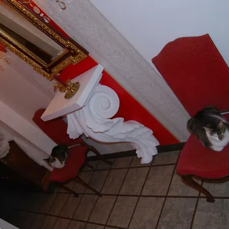 Saint Ludel, Maison Des Animaux Oda ve Kahvaltı Natzwiller